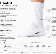 Model : SOCK