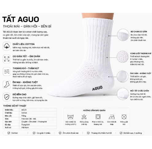 Model : SOCK
