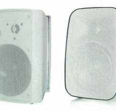 Loa tích hợp công suất 20 Watts Truevoice-VN